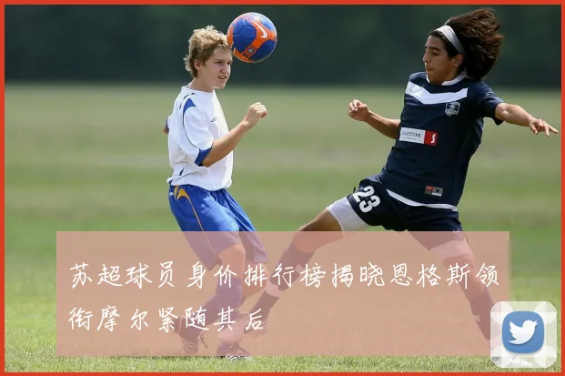 苏超球员身价排行榜揭晓恩格斯领衔摩尔紧随其后